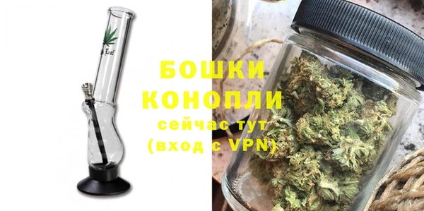 гидра Арсеньев
