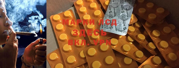 гидра Арсеньев