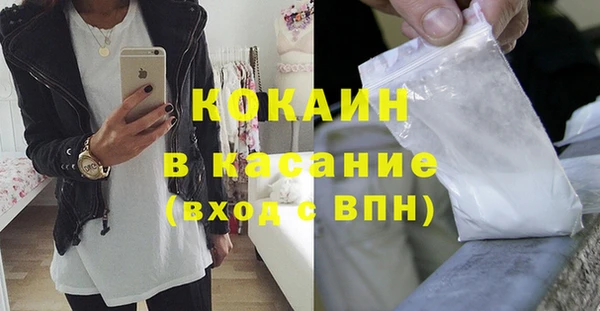 гидра Арсеньев